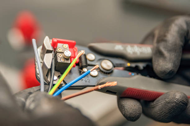 Best 24-Hour Electrician  in Rancho Alegre, TX