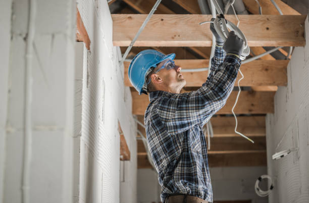 Best Electrical System Inspection  in Rancho Alegre, TX